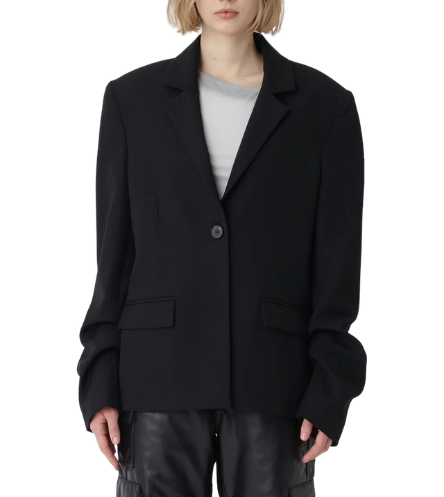 Anira Blazer